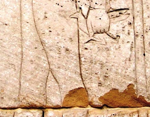 Szafka pod umywalkę - Relief z Egiptu
