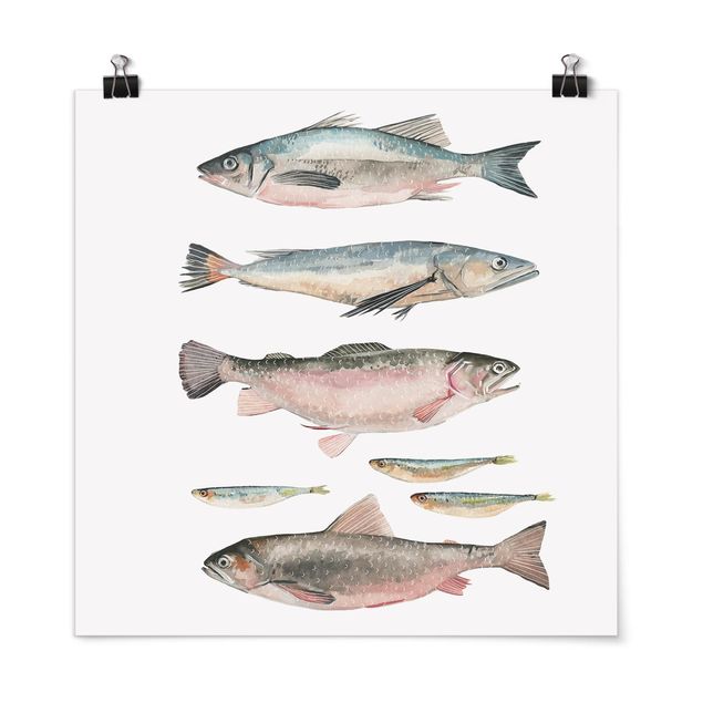 Obrazy ze zwierzętami Siedem rybek w akwareli I