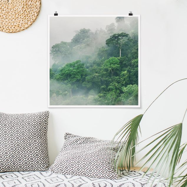 Obrazy do salonu Dżungla we mgle