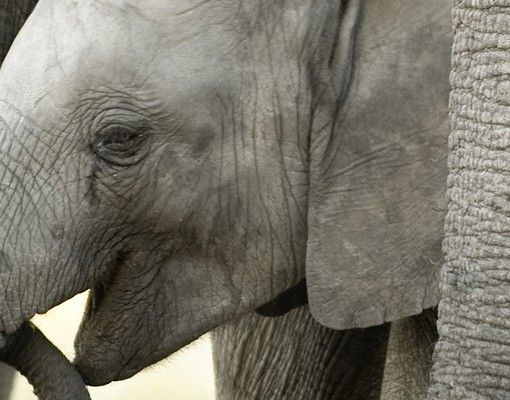 Szafka pod umywalkę - Miłość słonia