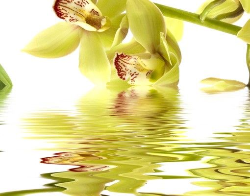 Szafka pod umywalkę - Eleganckie wody orchidei
