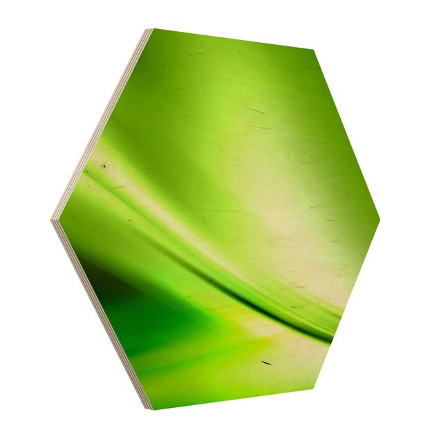 Obraz heksagonalny z drewna - Zielona Dolina