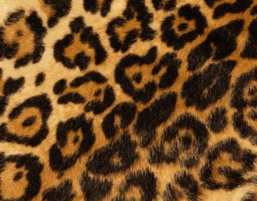 Szafka pod umywalkę - Skóra jaguara