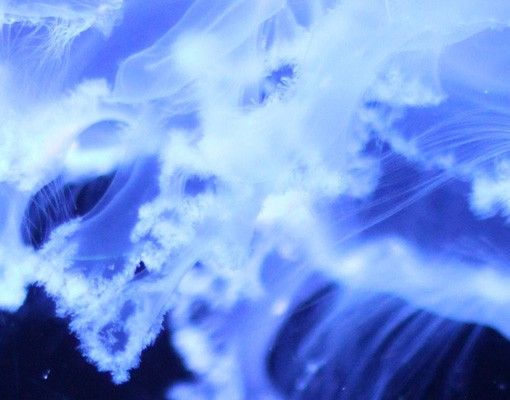 Szafka pod umywalkę - Jellyfish Shoal