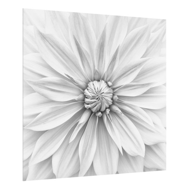 Panel szklany do kuchni - Kwiat botaniczny w kolorze białym