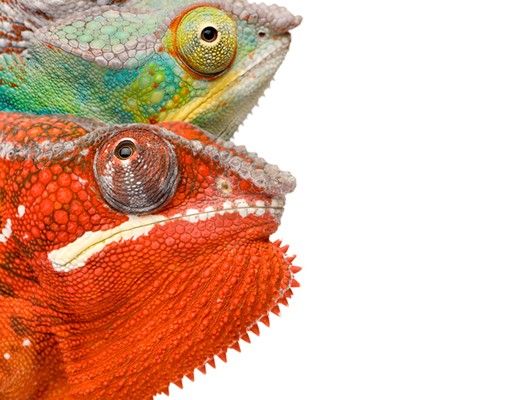 Szafka pod umywalkę - Kameleon kolorowy