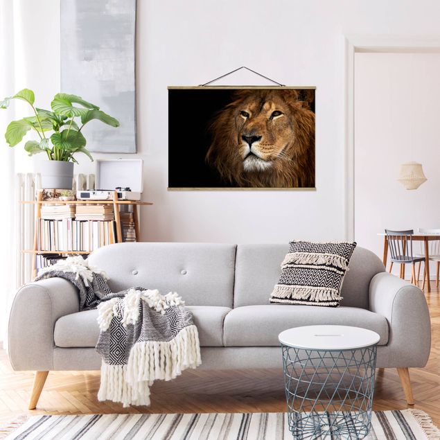 Obrazy do salonu Widok lwa