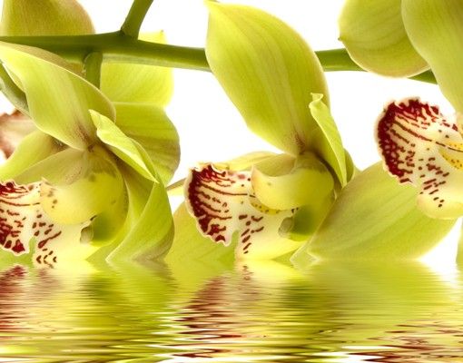 Szafka pod umywalkę - Wspaniałe wody orchidei