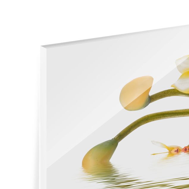 Panel szklany do kuchni - Saffron Orchid Waters