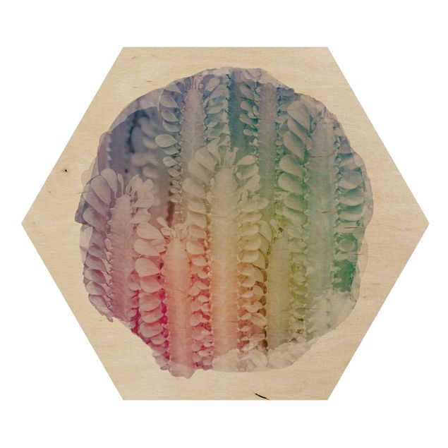 Obraz heksagonalny z drewna - Akwarele - Kaktus Euphorbia Trigona