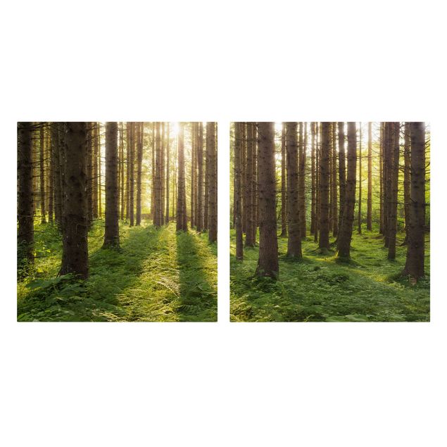 Obrazy krajobraz Promienie słońca w zielonym lesie