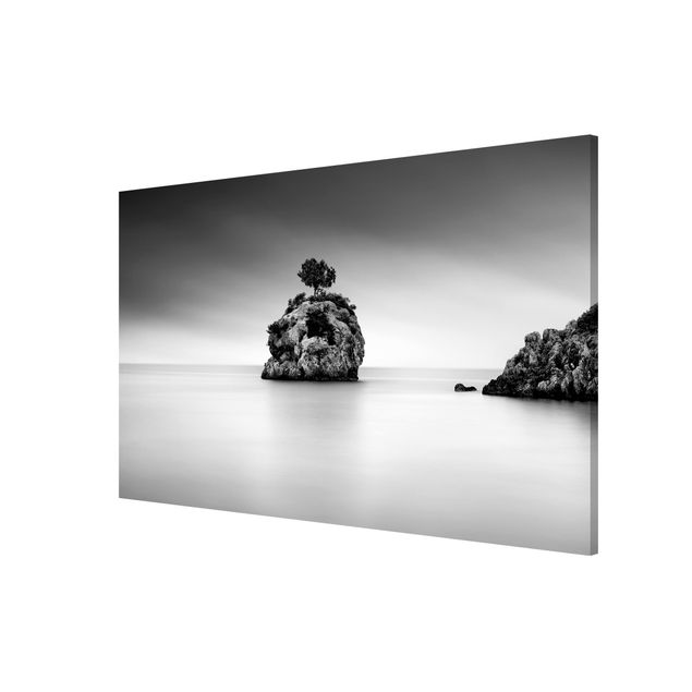 Obrazy nowoczesne Skalna wyspa na morzu Czarno-biały