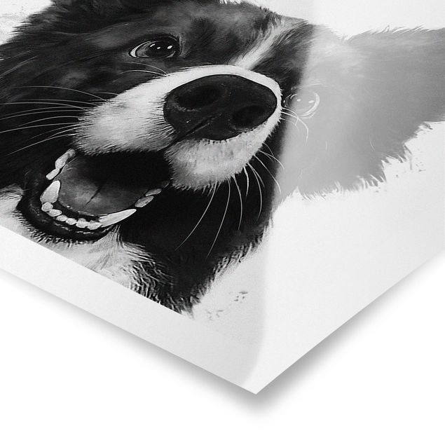 Czarno białe obrazy Ilustracja pies Border Collie czarno-biały malarstwo