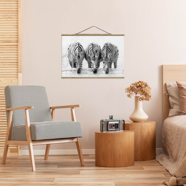 Obrazy nowoczesny Zebra Trio czarno-biała