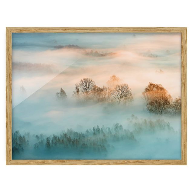 Obrazy w ramie do łazienki Mgła o wschodzie słońca