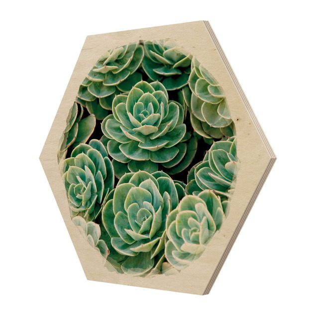 Obraz heksagonalny z drewna - Akwarele - Zielone sukulenty