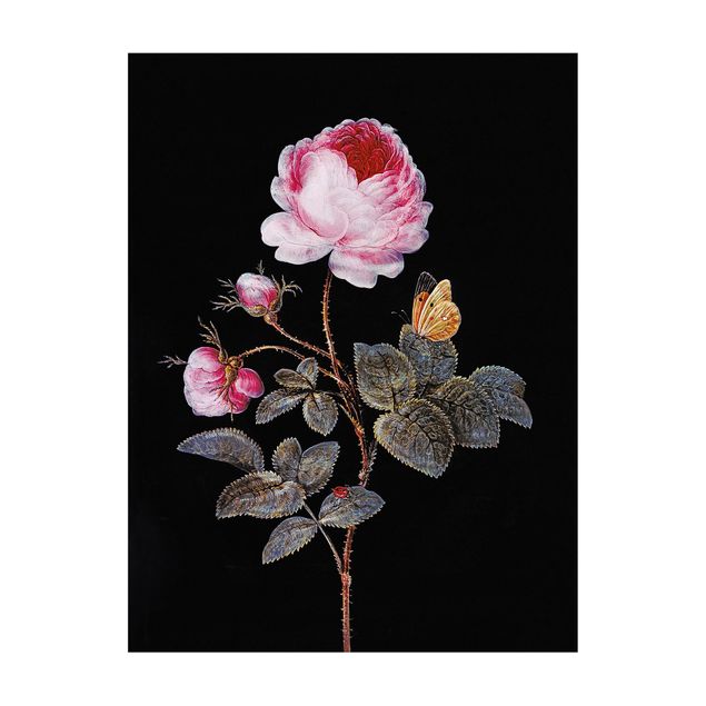 dywan kwiatowy Barbara Regina Dietzsch - Róża stulistna