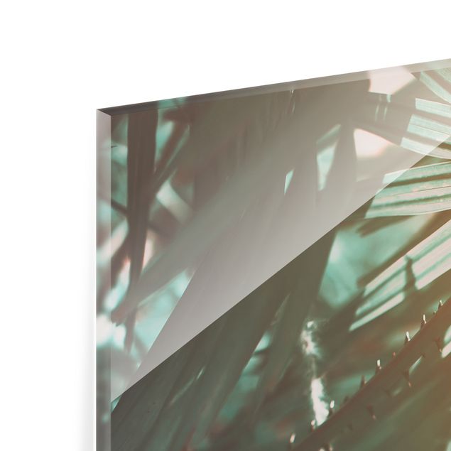 Panel szklany do kuchni - Rośliny tropikalne Palmy o zachodzie słońca