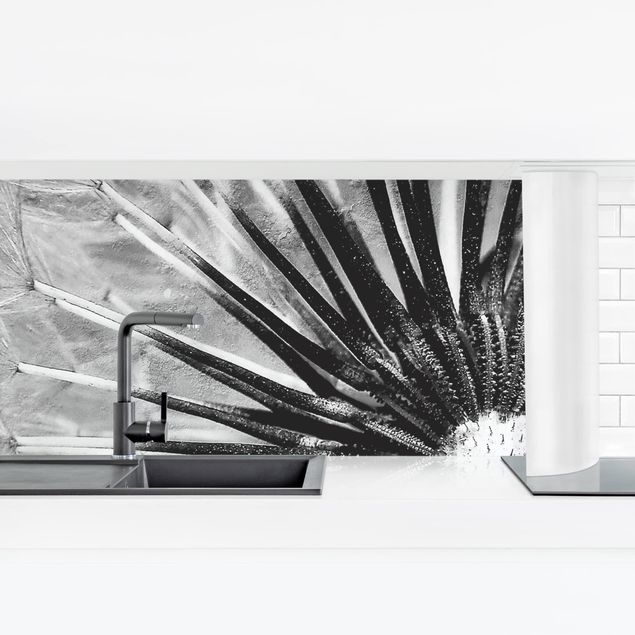 Panel ścienny do kuchni - Dandelion czarno-biały