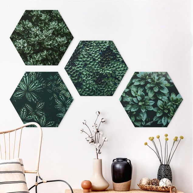 Obraz heksagonalny z Forex 4-częściowy - Zestaw zielonych liści I