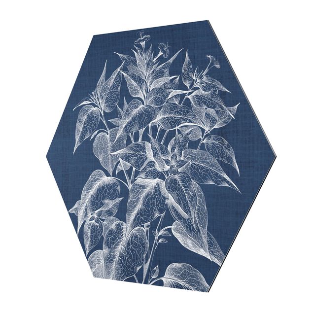 Obraz heksagonalny z Alu-Dibond - Studium roślin denimowych III