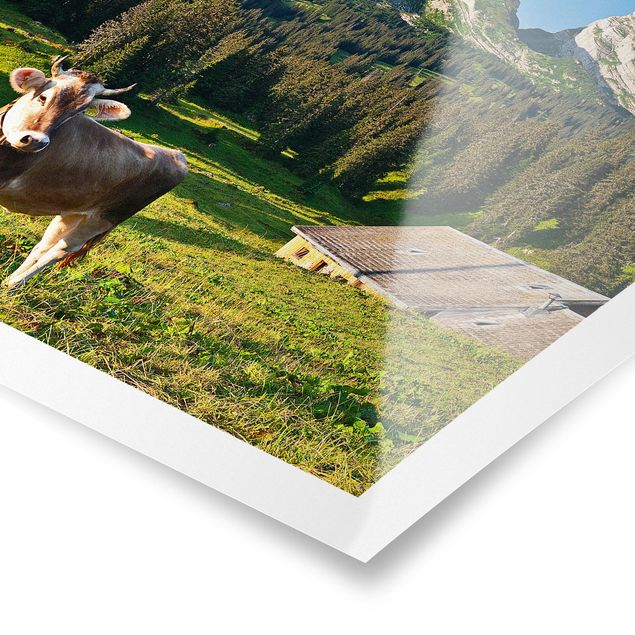 Obrazy z górami Szwajcarska łąka alpejska z krową