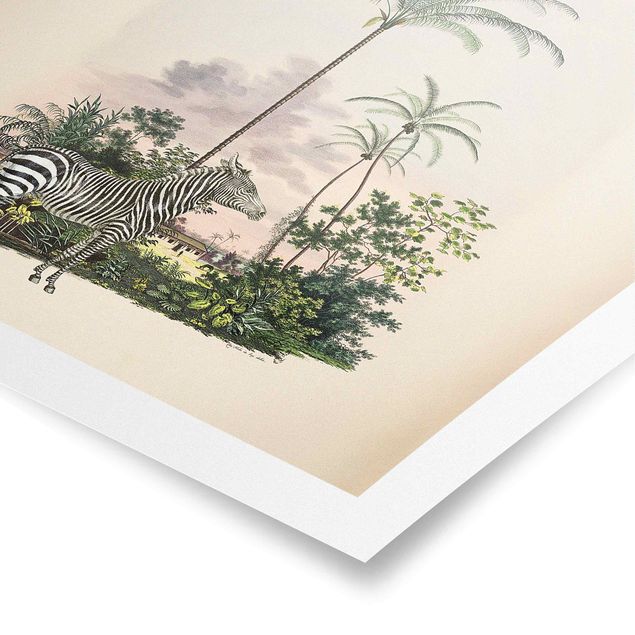 Obrazy vintage Zebra na tle palm ilustracja