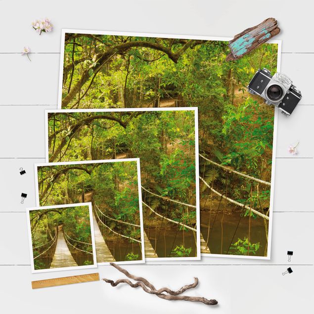 Zielony obraz Mostek dżungli