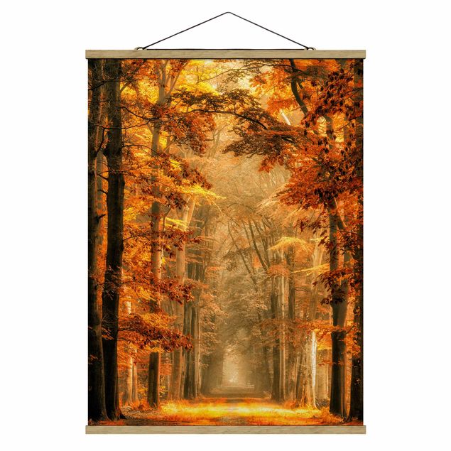 Drzewo obraz Bajkowy las jesienią
