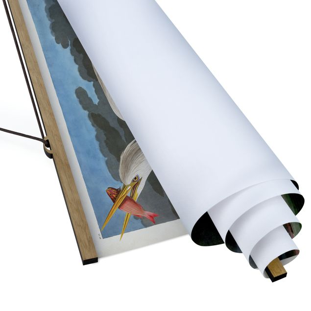 Obraz vintage Tablica edukacyjna w stylu vintage Duża Czapla biała