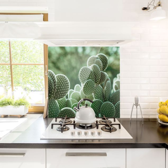Panel szklany do kuchni Kaktusy