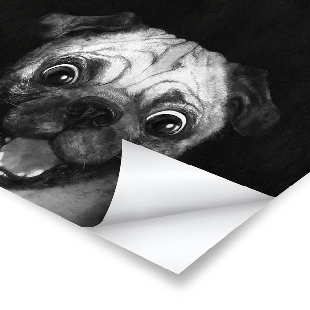 Obraz czarny Ilustracja pies Pug malarstwo na czarno-biały