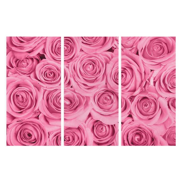 Obrazy kwiatowe Różowe róże