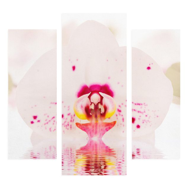 Dekoracja do kuchni Orchidea w kropki na wodzie
