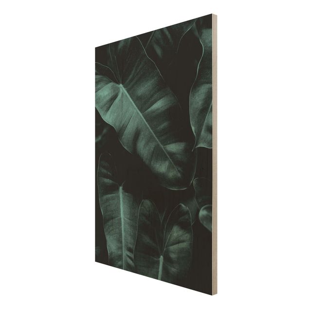 Obrazy z drewna Liście dżungli ciemnozielone