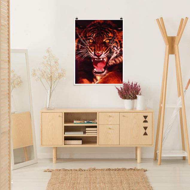 Nowoczesne obrazy do salonu Dziki tygrys