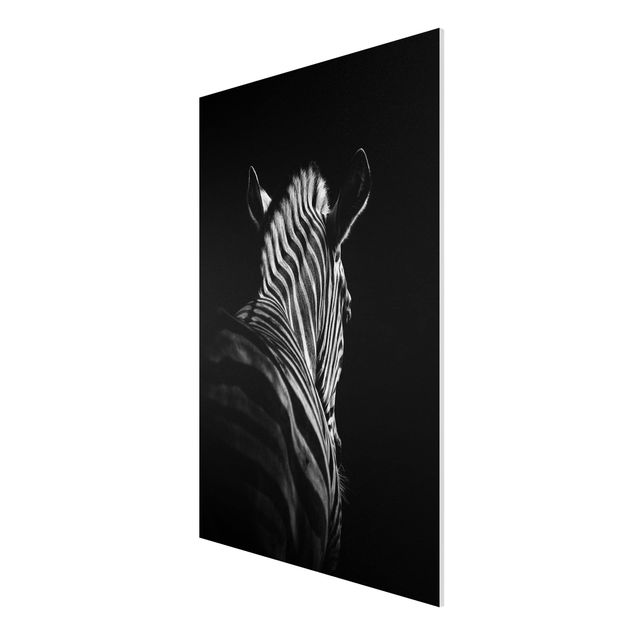 Obrazy nowoczesne Sylwetka zebry ciemnej