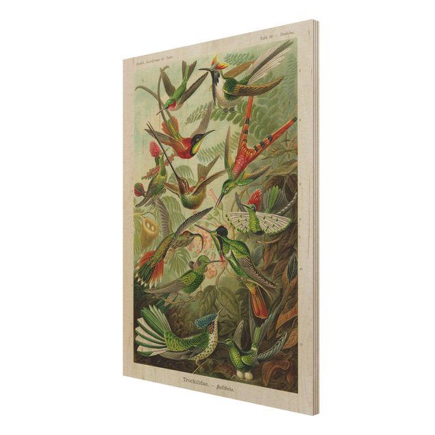 Obrazy drewniane Tablica edukacyjna w stylu vintage Kolibry