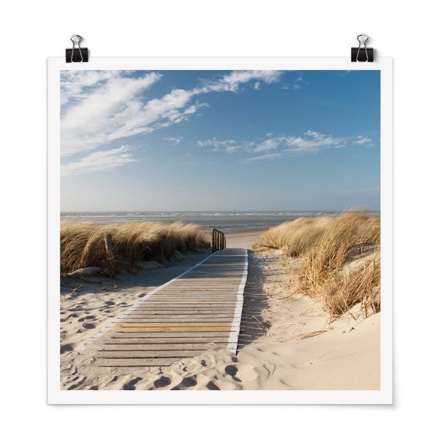 Obrazy nowoczesne Plaża nad Morzem Bałtyckim
