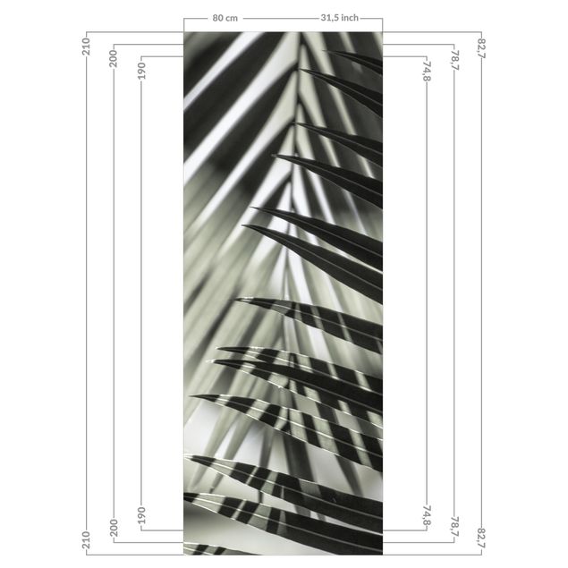 Tylna ścianka prysznicowa - Interplay Of Shaddow And Light On Palm Fronds