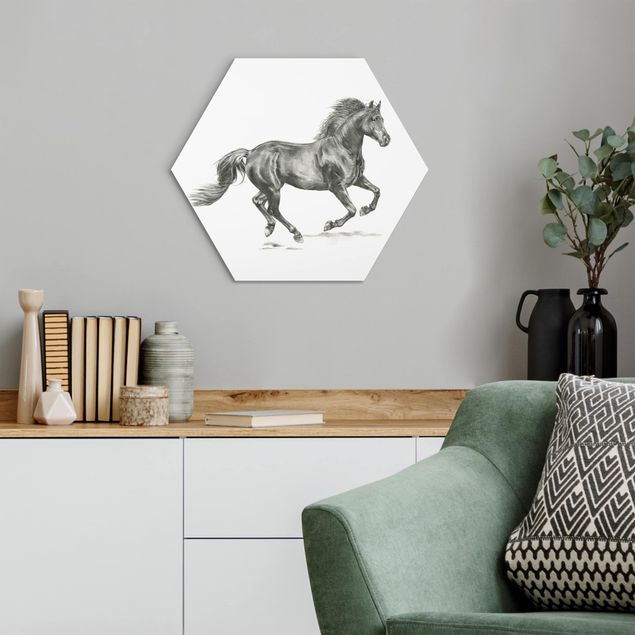 Obrazy do salonu nowoczesne Studium dzikiego konia - ogier