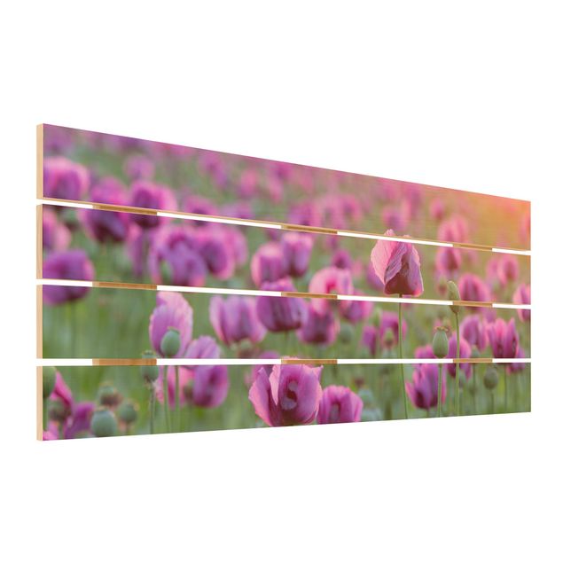 Obraz z drewna - Fioletowa łąka z makiem opium wiosną