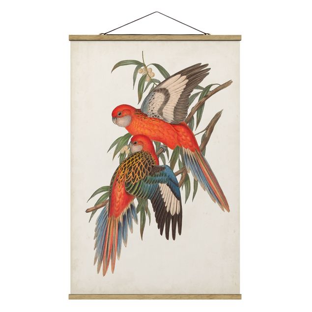 Obraz vintage Papugi tropikalne I