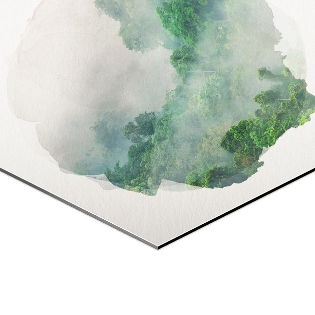 Zielony obraz Akwarele - Dżungla we mgle
