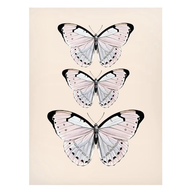 Obrazy do salonu nowoczesne Motyl na beżu