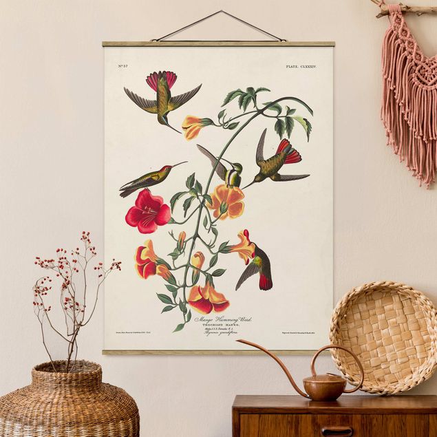 Dekoracja do kuchni Tablica edukacyjna w stylu vintage Kolibry mango