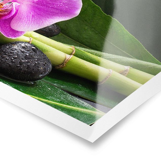 Obrazy duchowość Zielony bambus z kwiatem orchidei