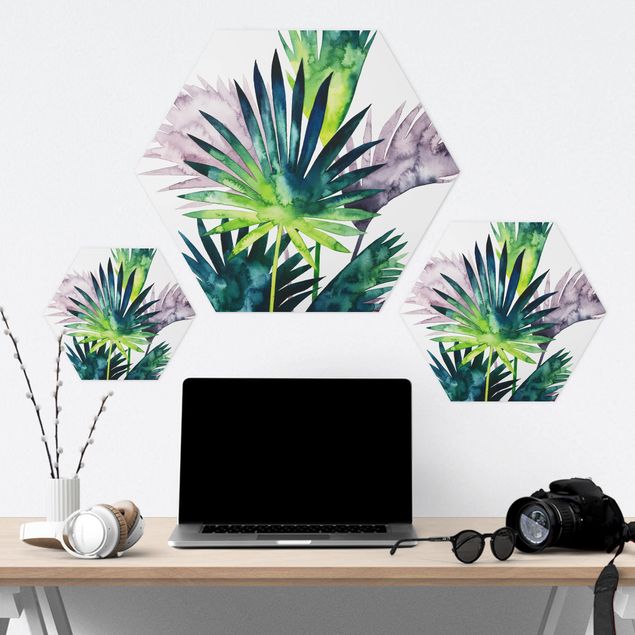 Obraz heksagonalny z Forex - Egzotyczne liście - Fan Palm