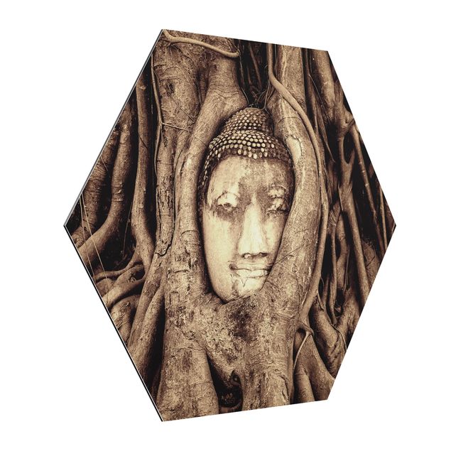 Obrazy drzewa Budda w Ayutthaya otoczony korzeniami drzew w kolorze brązowym