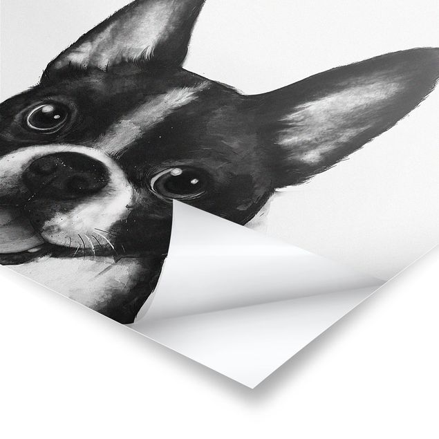 Plakaty czarno białe Ilustracja pies Boston czarno-biały Painting